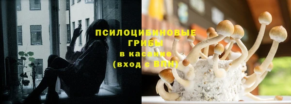 винт Каменногорск