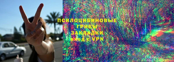 ГАЛЛЮЦИНОГЕННЫЕ ГРИБЫ Каменск-Шахтинский